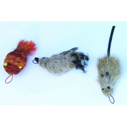 3 Pack Cat Lure Wand Refills