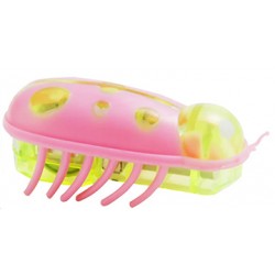 Interactive Bug Toy