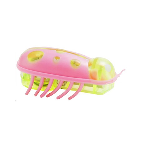 Interactive Bug Toy