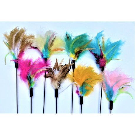 Brightly-colored feather wands.