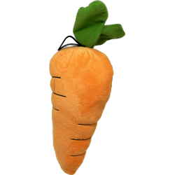 Crunchy Carrot