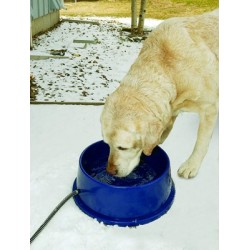 Thermal bowl keeps ice from forming in your pet's water bowl!