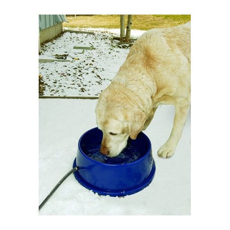 Thermal bowl keeps ice from forming in your pet's water bowl!