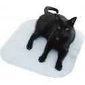 Achy Paws Pet Mat