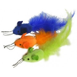 Three colorful, catnip-filled mousebirds!