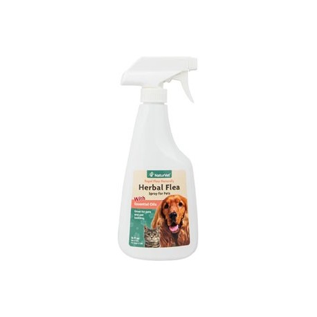 Herbal Flea Spray