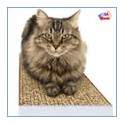 USA Standard Cat Scratchers