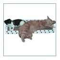 USA Cat Couch and Deluxe Cat Scratchers