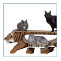 USA Giant Shape Cat Scratchers