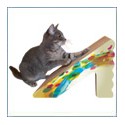 USA Angled Shape Cat Scratchers