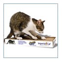 USA Flat Cat Scratchers