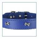 Collars, Harnesses & Leads