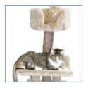 Cat Trees & Furniture