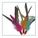 Feather Toys