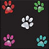 Paw Prints