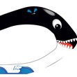 Orca